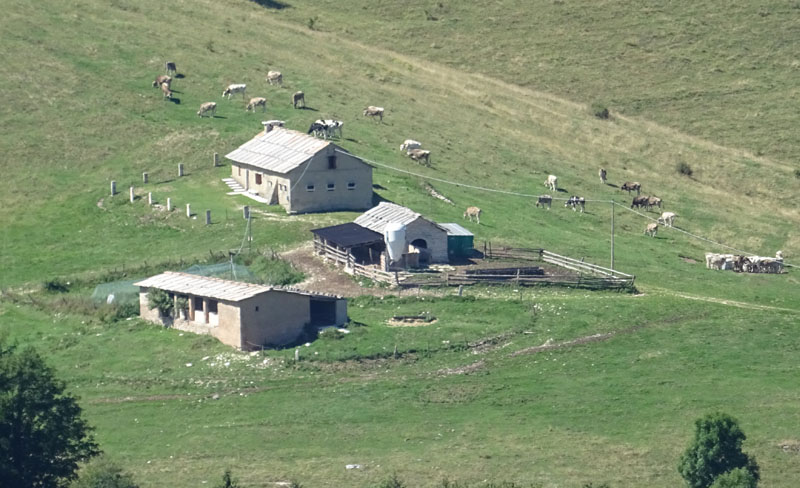 Malghe d''Italia..........